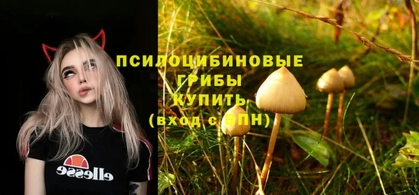 спиды Арсеньев