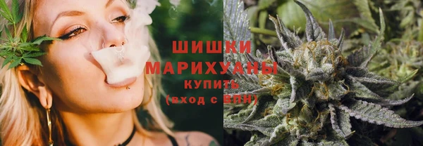 ешки Аркадак