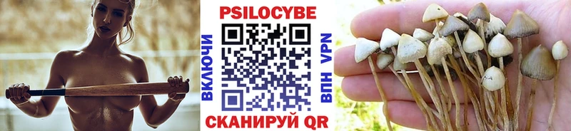 MEGA как войти  Крым  Псилоцибиновые грибы Cubensis 